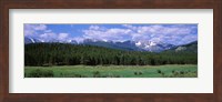 Beaver Meadows Rocky Mountain National Park CO USA Fine Art Print