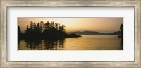 Silhouette of trees in an island, Frederick Sound, Alaska, USA Fine Art Print