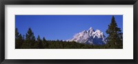 Trees in a forest with snow covered mountains in the background, Grand Teton National Park, Wyoming, USA Fine Art Print