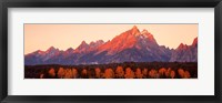 Aspens, Teton Range, Grand Teton National Park, Wyoming, USA Fine Art Print
