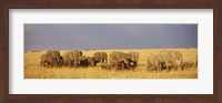 Elephants on the Grasslands, Masai Mara National Reserve, Kenya Fine Art Print
