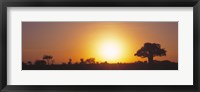 Sunset, Tarangire, Tanzania, Africa Fine Art Print