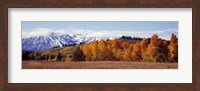 Autumn Grand Teton National Park WY Fine Art Print