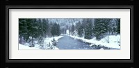 USA, Montana, Gallatin River, winter Fine Art Print