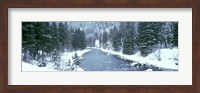 USA, Montana, Gallatin River, winter Fine Art Print