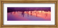 Reflection of plants in a lake at sunrise, Taggart Lake, Grand Teton National Park, Wyoming, USA Fine Art Print