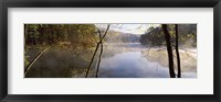 Morning mist around a lake, Lake Vesuvius, Wayne National Forest, Ohio, USA Fine Art Print