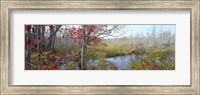 Trees in a forest, Damariscotta, Lincoln County, Maine, USA Fine Art Print