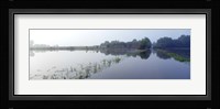 Standing floodwater, Mississippi River, Illinois, USA Fine Art Print