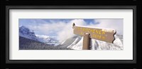 Clark's Nutcracker (Nucifraga columbiana) perching on mountain sign, Mt. Kitchener, Jasper National Park, Alberta, Canada Fine Art Print