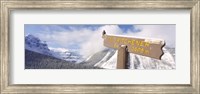 Clark's Nutcracker (Nucifraga columbiana) perching on mountain sign, Mt. Kitchener, Jasper National Park, Alberta, Canada Fine Art Print