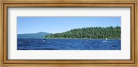 Tourists paddle boarding in a lake, Lake Tahoe, California, USA Fine Art Print