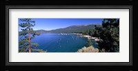 Trees with lake in the background, Lake Tahoe, California, USA Fine Art Print