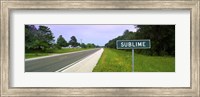 Road passing through a field, Sublime, Lavaca County, Texas, USA Fine Art Print