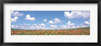 Meadow flowers with cloudy sky in background Fine Art Print