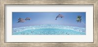 Dolphins Leaping In Air Fine Art Print