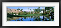 Reflection of trees on water, Thunderbird Country Club, Rancho Mirage, Riverside County, California, USA Fine Art Print