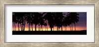 Silhouette of palm trees on the beach, Puuhonua o Honaunau National Historical Park, Big Island, Hawaii, USA Fine Art Print
