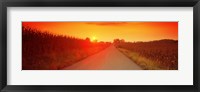 Country road at sunset, Milton, Northumberland County, Pennsylvania, USA Fine Art Print