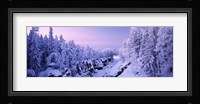 Snow covered trees in a forest, Imatra, Finland Fine Art Print