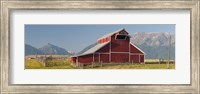 Barn in a field with a Wallowa Mountains in the background, Joseph, Wallowa County, Oregon, USA Fine Art Print