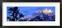 Silhouette of a Limber Pine in front of mountains, Cathedral Group, Teton Range, Grand Teton National Park, Wyoming, USA Fine Art Print