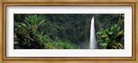 Akaka Falls State Park, Hawaii, USA Fine Art Print