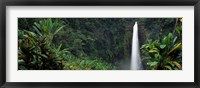 Akaka Falls State Park, Hawaii, USA Fine Art Print