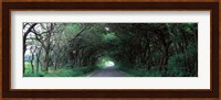 Road Through Trees Marion County, Illinois, USA Fine Art Print