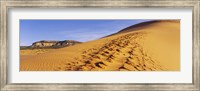 Sand dunes in the desert, Coral Pink Sand Dunes State Park, Utah, USA Fine Art Print