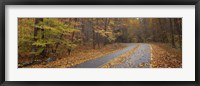 Road passing through autumn forest, Great Smoky Mountains National Park, Cherokee, North Carolina, USA Fine Art Print