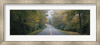 Trees along a road, Blue Ridge Parkway, North Carolina, USA Fine Art Print