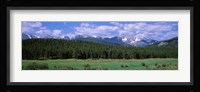 Beaver Meadows Rocky Mountain National Park CO USA Fine Art Print