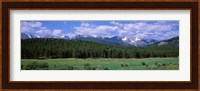 Beaver Meadows Rocky Mountain National Park CO USA Fine Art Print