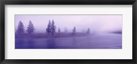 USA, Wyoming, View of trees lining a misty river Fine Art Print