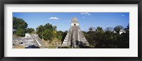 Tikal, Guatemala, Central America Fine Art Print