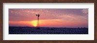 Windmill Cornfield Edgar County IL USA Fine Art Print