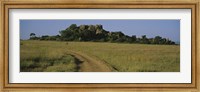 Road passing through a grassland, Simba Kopjes, Road Serengeti, Tanzania, Africa Fine Art Print