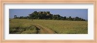 Road passing through a grassland, Simba Kopjes, Road Serengeti, Tanzania, Africa Fine Art Print