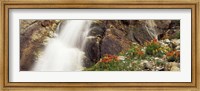 Spalding Falls Grand Teton National Park WY Fine Art Print
