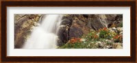 Spalding Falls Grand Teton National Park WY Fine Art Print