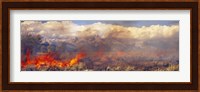 Burning trees in a forest with mountain range in the background, Grand Teton, Grand Teton National Park, Wyoming, USA Fine Art Print