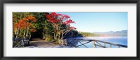 Chocorua Lake White Mountains National Forest NH Fine Art Print