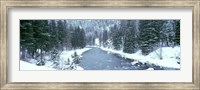 USA, Montana, Gallatin River, winter Fine Art Print