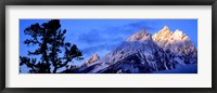 Silhouette of a Limber Pine in front of mountains, Cathedral Group, Teton Range, Grand Teton National Park, Wyoming, USA Fine Art Print