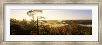Forest in autumn at sunset, Ottawa National Forest, Upper Peninsula, Michigan, USA Fine Art Print