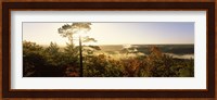 Forest in autumn at sunset, Ottawa National Forest, Upper Peninsula, Michigan, USA Fine Art Print