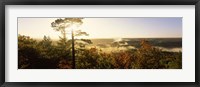 Forest in autumn at sunset, Ottawa National Forest, Upper Peninsula, Michigan, USA Fine Art Print
