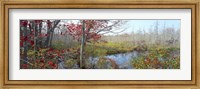 Trees in a forest, Damariscotta, Lincoln County, Maine, USA Fine Art Print