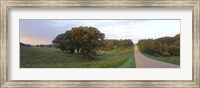 Dirt road passing through a field, Wisconsin, USA Fine Art Print